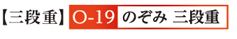 19のぞみ 三段重