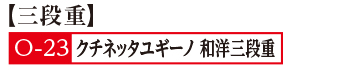 23クチネッタユギーノ